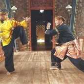 kung fu and martial arts