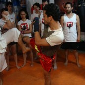 kung fu and martial arts