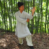 kung fu and martial arts