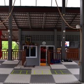 kung fu and martial arts