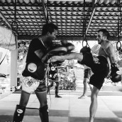 kung fu and martial arts