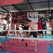 kung fu and martial arts