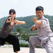 kung fu and martial arts