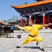 kung fu and martial arts