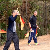 kung fu and martial arts