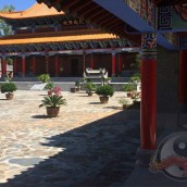 kung fu and martial arts