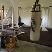 kung fu and martial arts