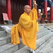 kung fu and martial arts