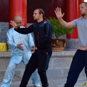 kung fu and martial arts