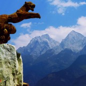 kung fu and martial arts
