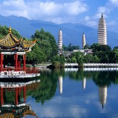 kung fu and martial arts