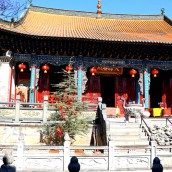 kung fu and martial arts
