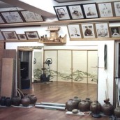 kung fu and martial arts
