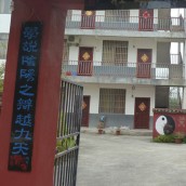 kung fu and martial arts