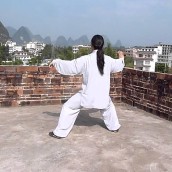 kung fu and martial arts