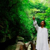 kung fu and martial arts