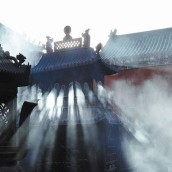 kung fu and martial arts