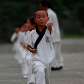 kung fu and martial arts