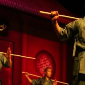 kung fu and martial arts