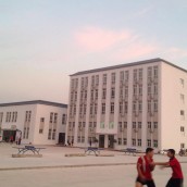 kung fu and martial arts