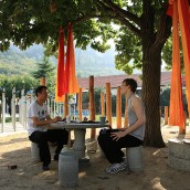 kung fu and martial arts