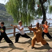 kung fu and martial arts