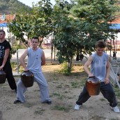 kung fu and martial arts