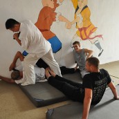 kung fu and martial arts