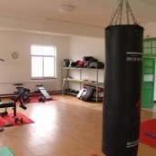 kung fu and martial arts