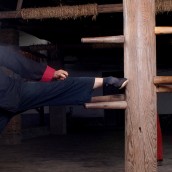 kung fu and martial arts