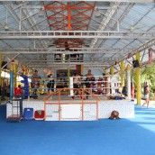 kung fu and martial arts