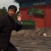 kung fu and martial arts