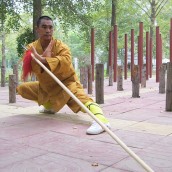 kung fu and martial arts