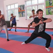 kung fu and martial arts