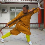 kung fu and martial arts