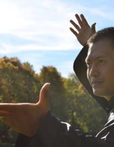 Hard Qigong in Chinese Martial Arts