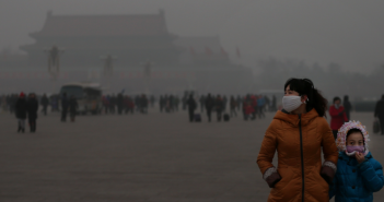 Beijing's best air cleaning plants