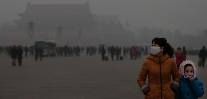 Beijing's best air cleaning plants