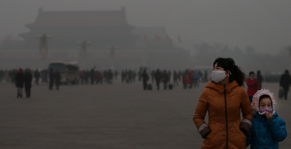 Beijing's best air cleaning plants