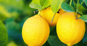 incredible benefits of lemons