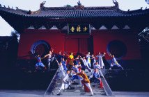 International Shaolin Culture