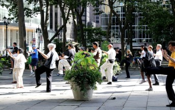 People practicing Taichi in Bryant Park, New York