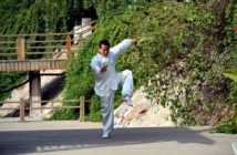 Combining traditional martial arts with app development