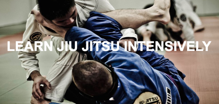 Learn BJJ Intensively and with some of the worlds best coaches.