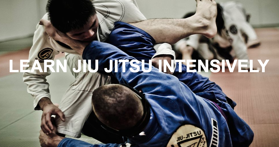 Learn BJJ Intensively and with some of the worlds best coaches.