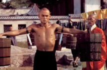The 36th Chamber of Shaolin is a fictionalized account of the life of San Te (Gordon Liu), a student living in 18th century China.