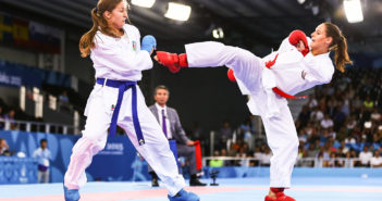 Are sport martial arts essential?