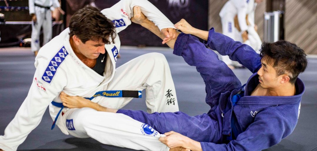 Everything you need to know to become a BJJ expert.
