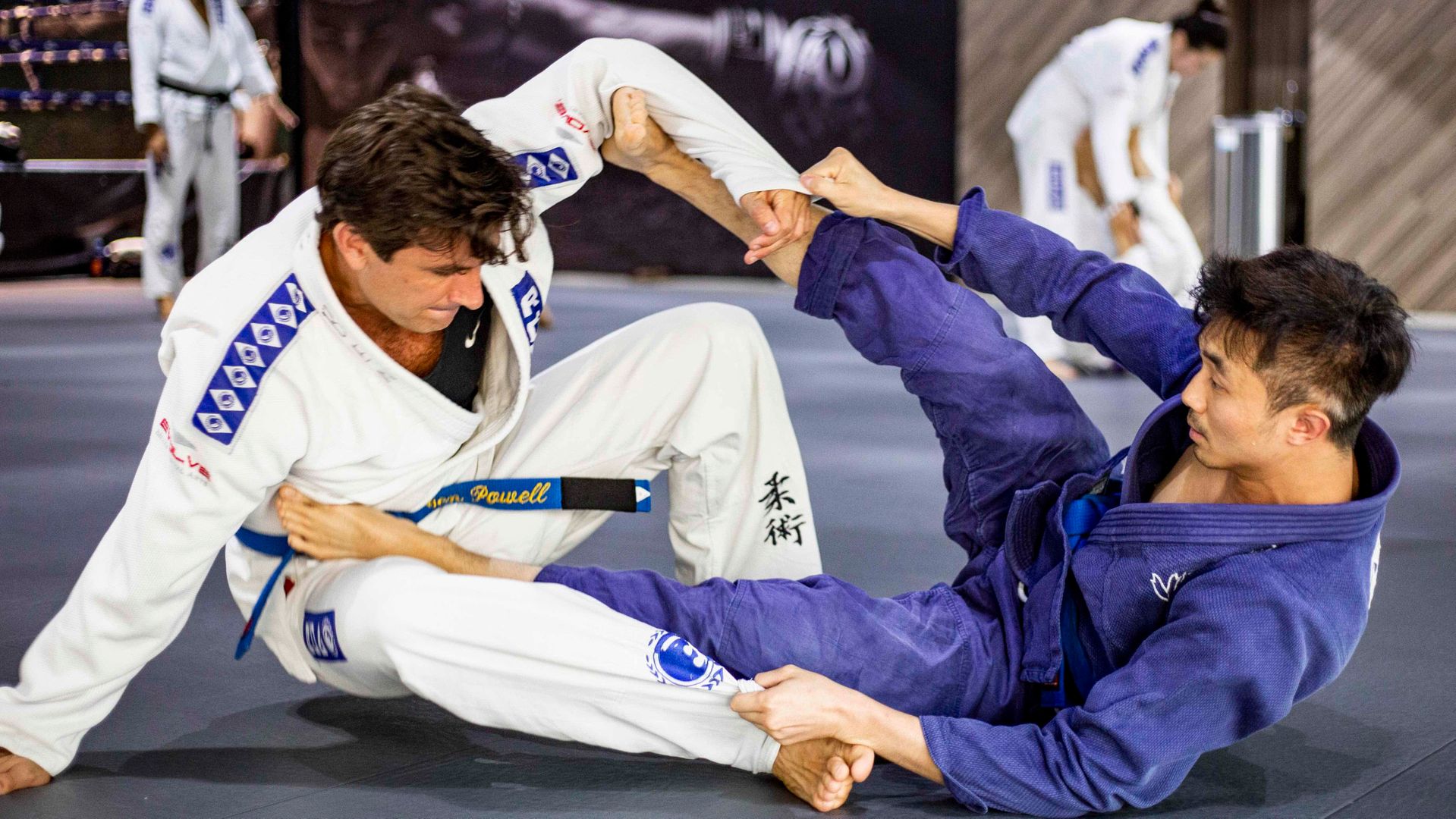 Brazilian Jiu Jitsu Brazilian Jiu Jitsu Belts Ranking System Explained Way A Derivate