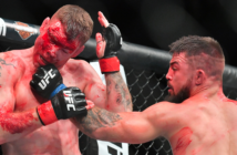 In this article both combat sports are examined and discussed.